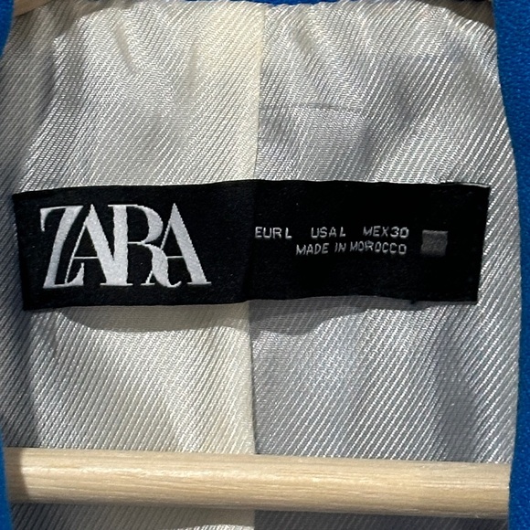 Zara Bloggers Favorite Double Breasted Blazer - Picture 8 of 12